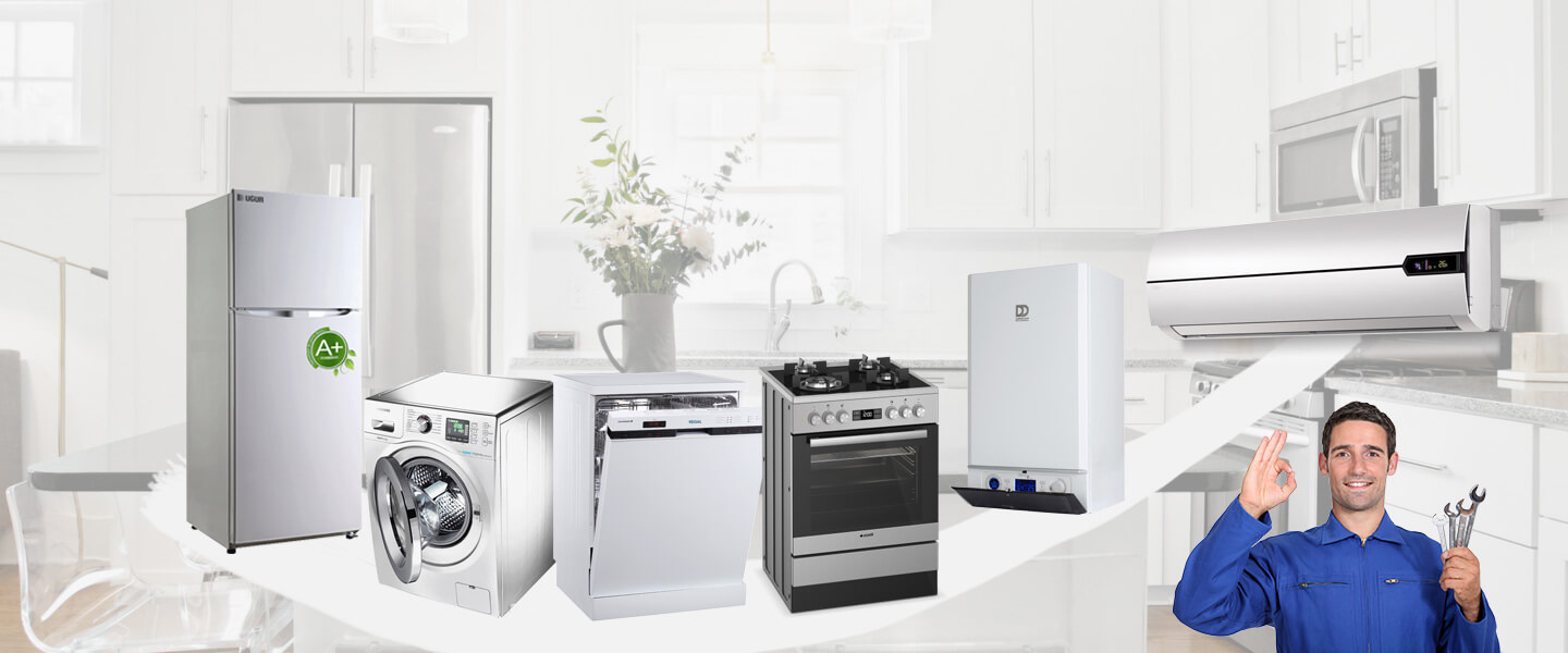 Orhangazi Electrolux Servisi